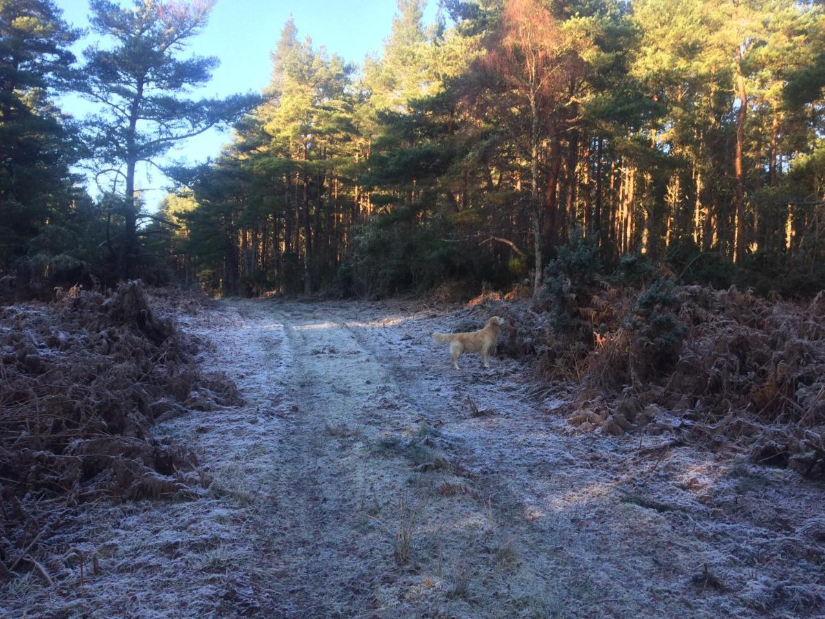 Clashmore Wood Dornoch Exterior photo